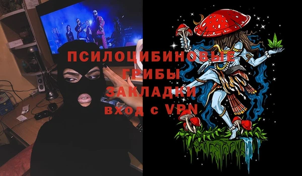 гидра Беломорск