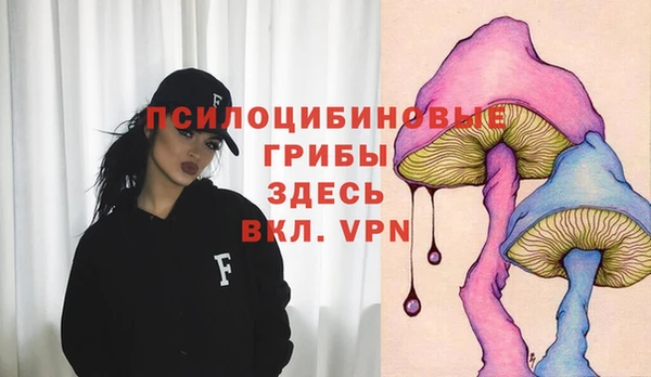 мяу мяу мука Белоозёрский