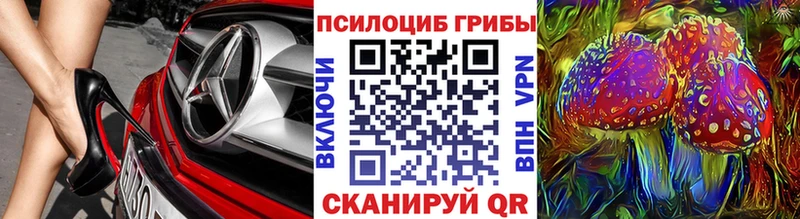 Псилоцибиновые грибы Psilocybine cubensis  Дагестанские Огни 