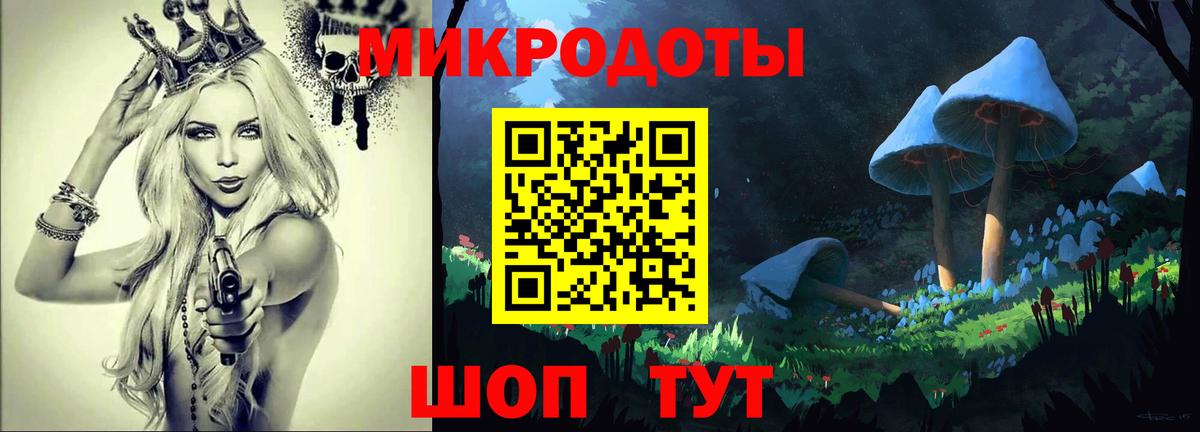 Псилоцибиновые грибы Cubensis Дагестанские Огни